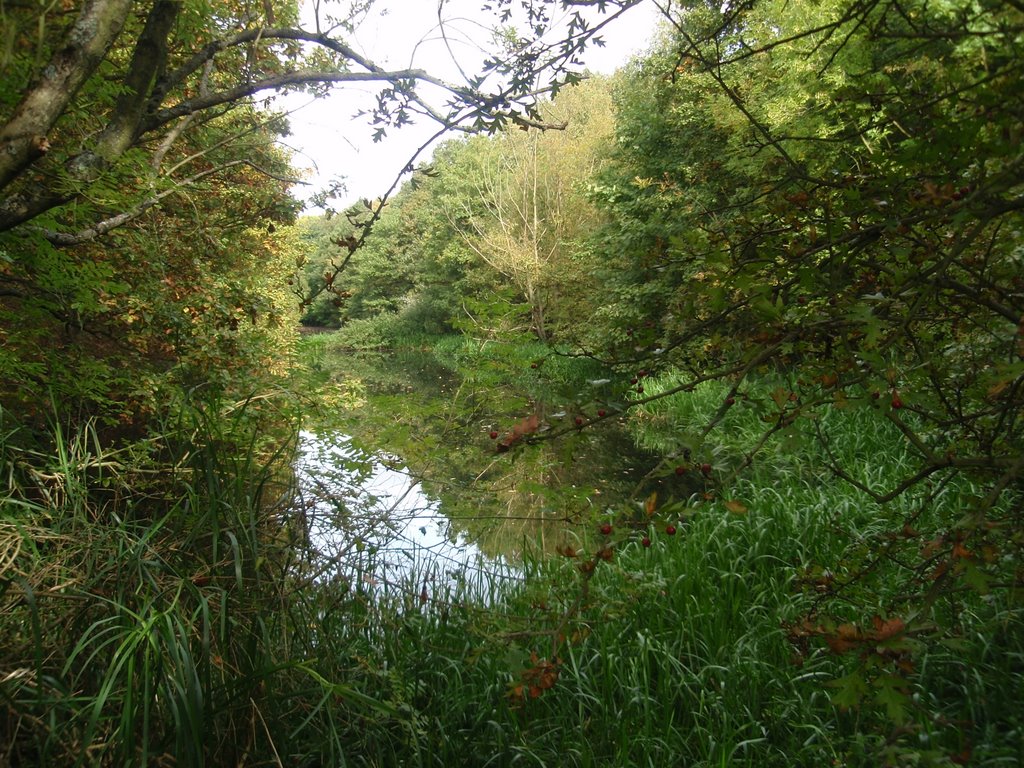 Royston Canal Leading To Ryhill Reservoir 22.9.09 by Jack the lad