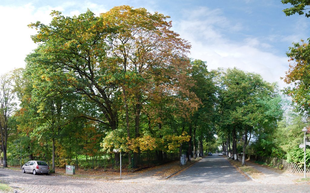 Nimrodstr. / Avenue Charles de Gaulle by Oliver Nordt