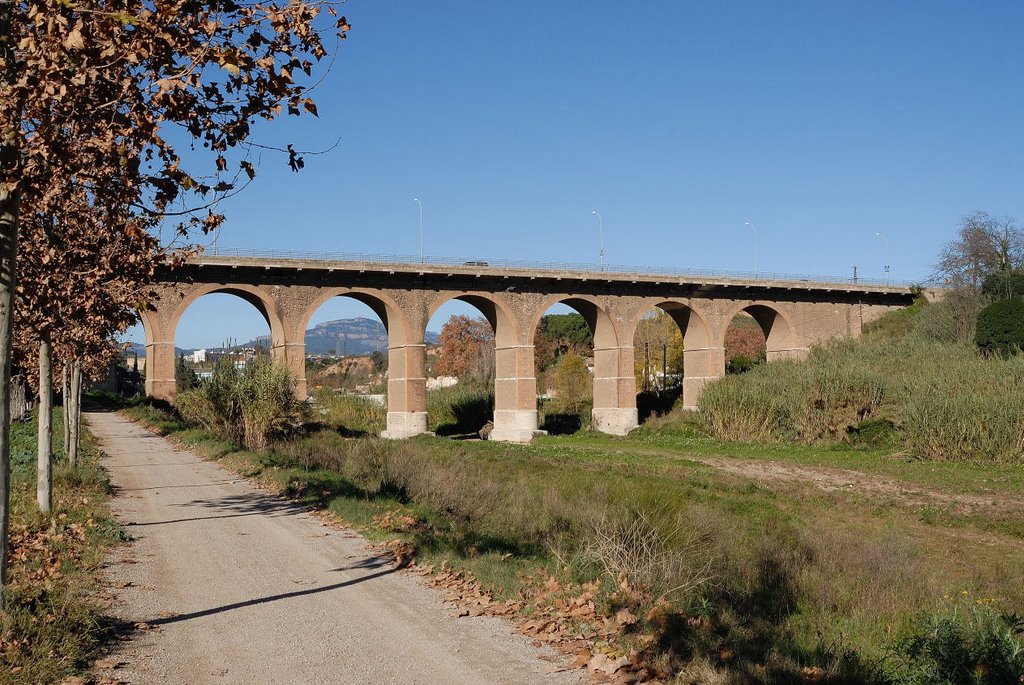 DSC_2969. Pont de la Salut by Juan Ot