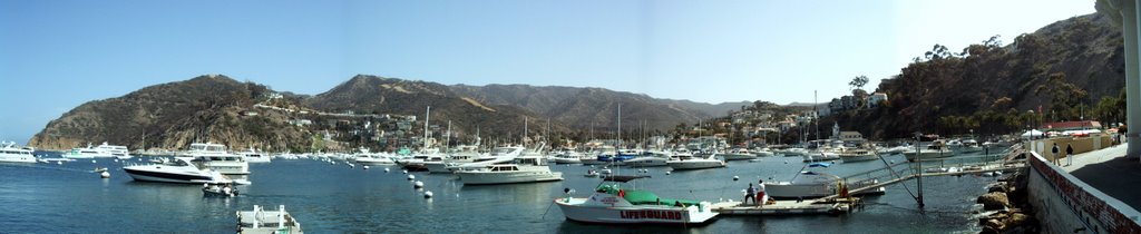 Panorama Avalon Bay Santa Catalina Island California USA by marnick