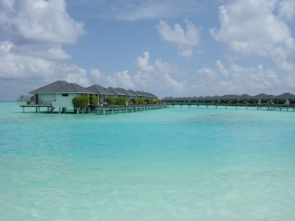 Alifu Dhaalu Atoll, Maldives by Michi T Hamburg