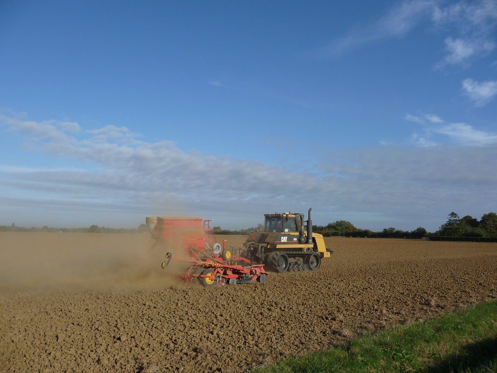 Farming in Cambridgeshire - Brinkley by Iain Clarke (Brinkley)