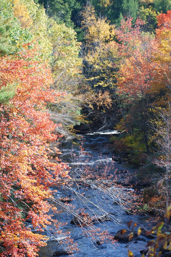 Blackwater River by Don Schwartz