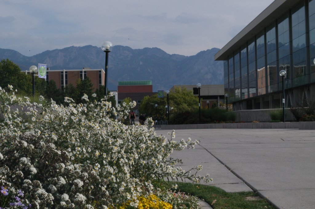 Marriott Library - University of Utah by sfchao