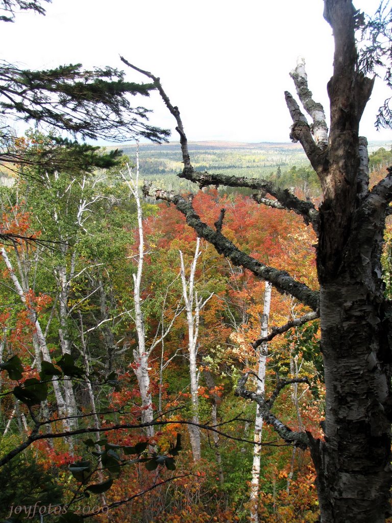 View to the SW on trail down from Britton Peak by joyfotos