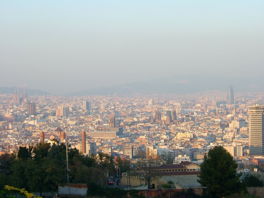 BARCELONA DESDE MONTJUIC by grobas