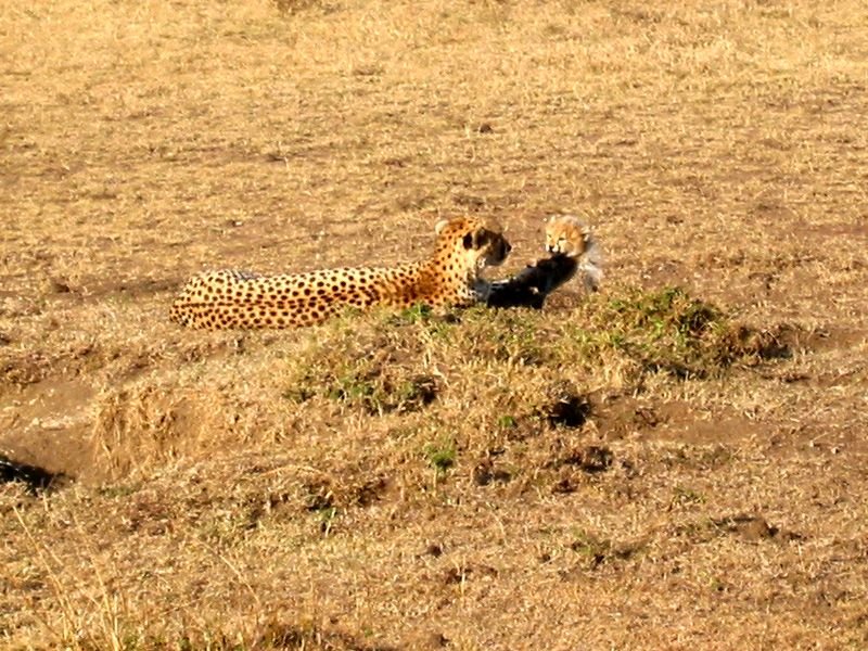 Narok, Kenya by devlin_adl