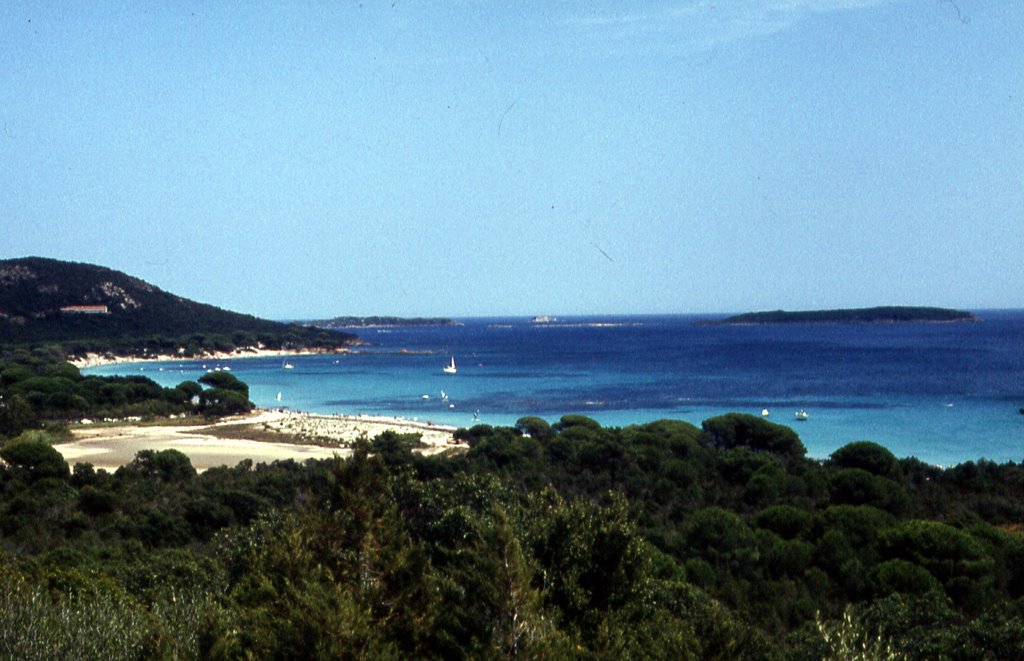 Plage de Palombaggia by luxing