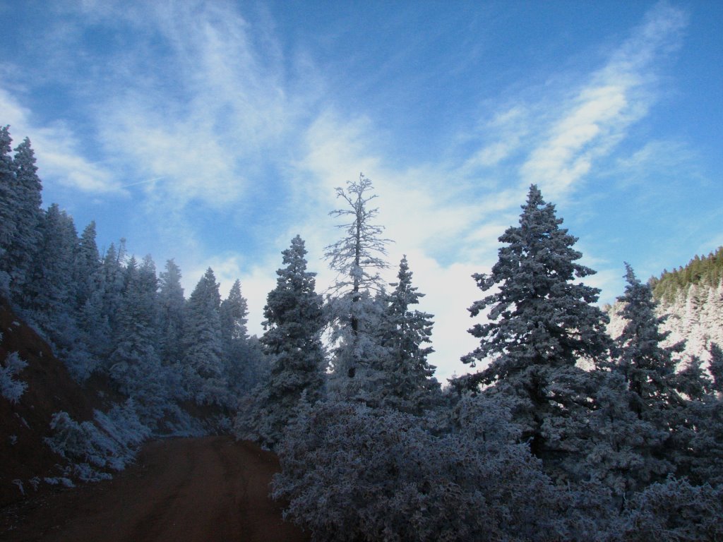 A beautiful ice day by JoeyDurango