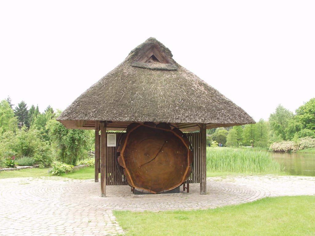 Botanischer Garten der UNI Hamburg - Nord- u. Südamerika by Peter Schrom