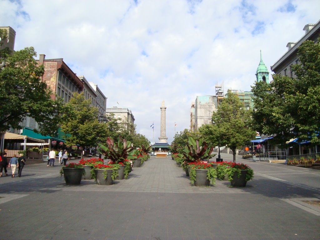 Place Jacques Cartier by grenouille13