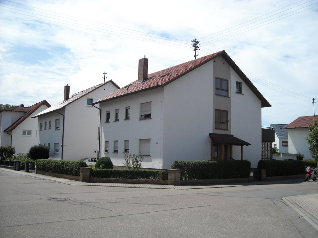 Heidelbergstrasse. Julio de 2009 by viajeroandaluz