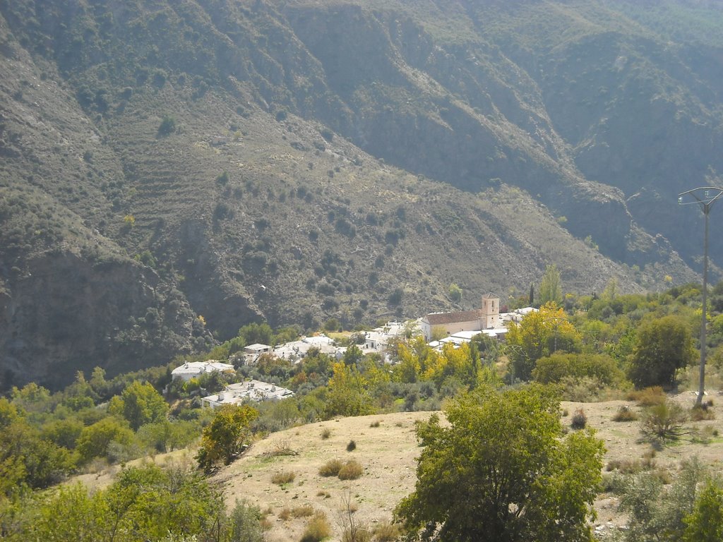 Ferreirola casi al borde del barranco. Octubre de 2009 by viajeroandaluz