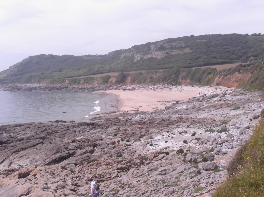 Slade bay from coastal path by Neil Pinch