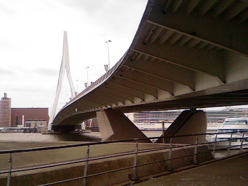 Onderkant Erasmusbrug by superturka