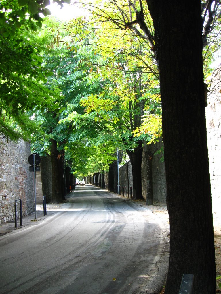 Perugia city walls by OAbrams