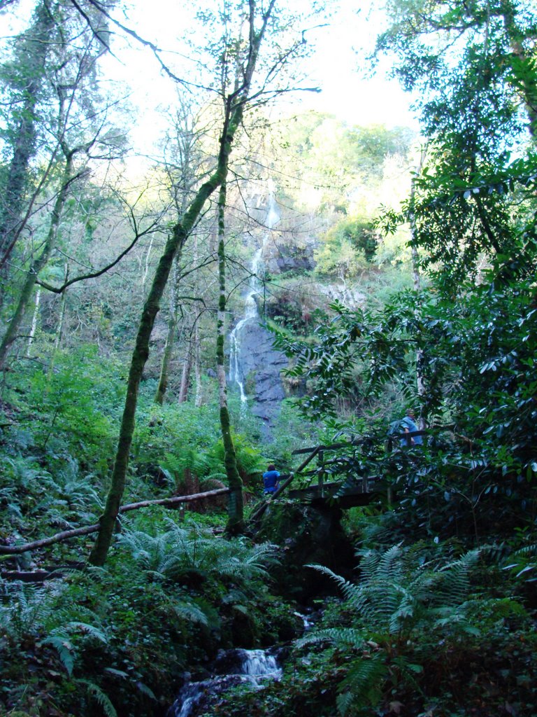 "Lady Exmouth Waterfall", Canonteign Falls, Devon by G Lokey