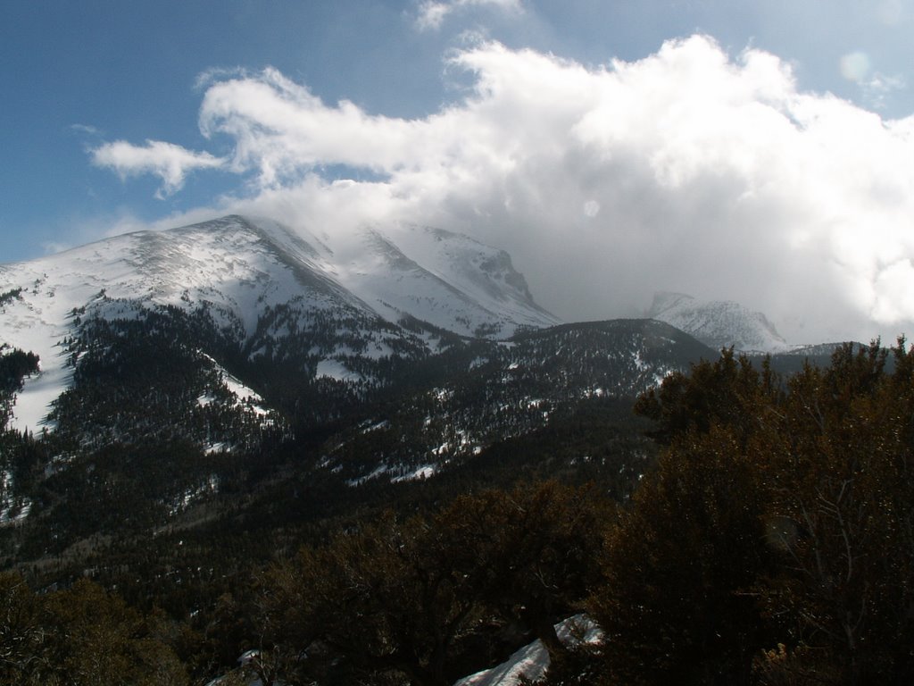 Mt. Wheeler by Dana Jensen