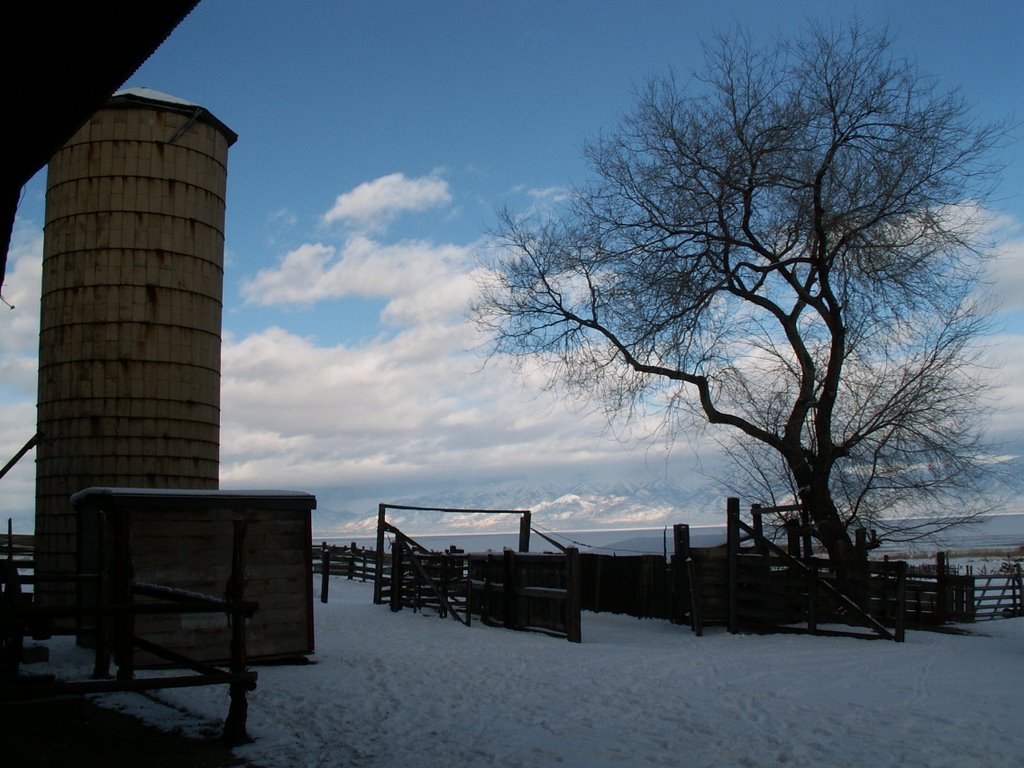 Feilding Garr Farm by Dana Jensen