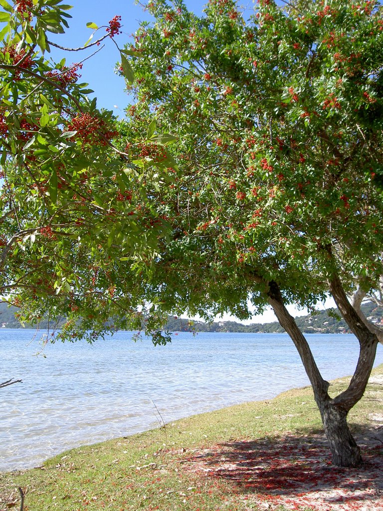 Lagoa da Conceição (Av. das Rendeiras) by Loly Yonekura