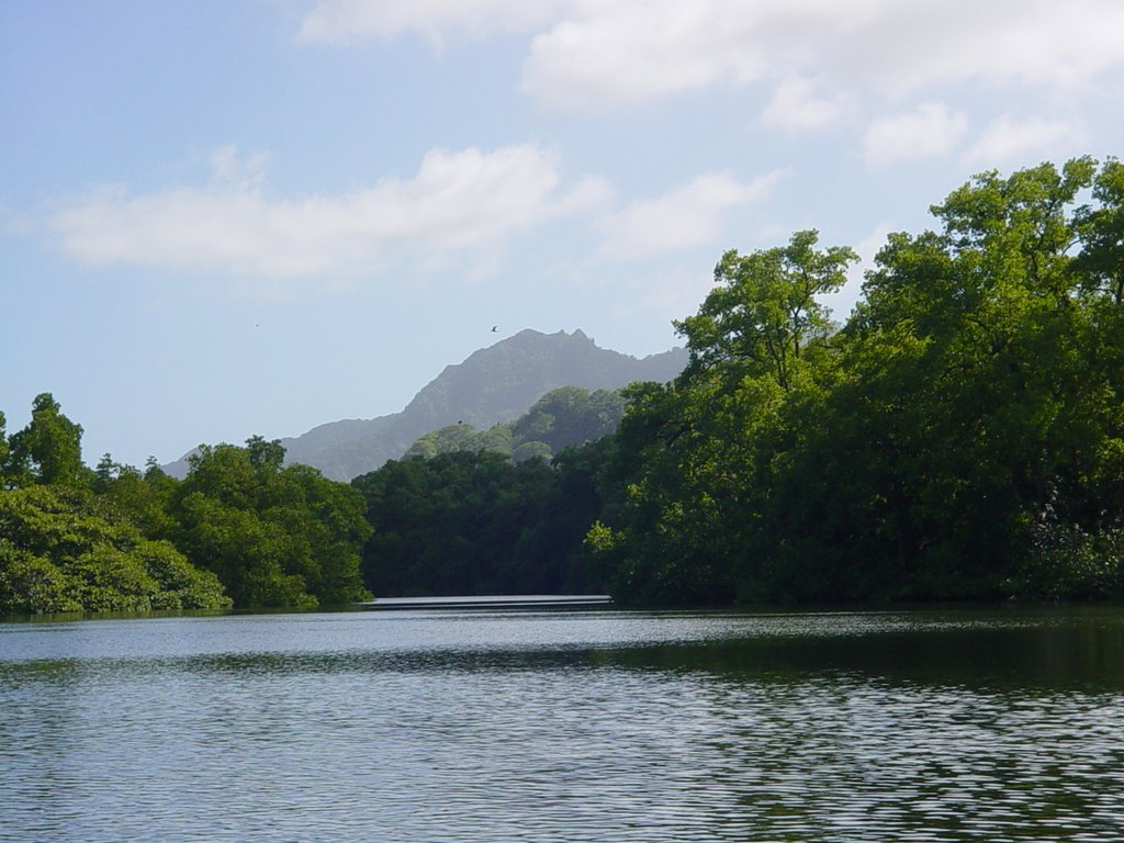 Kosrae Interior Fresh Water River by SeanAB