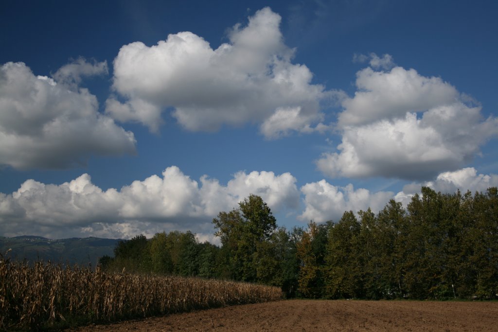 Campagna rosatese bis by ariel.2005