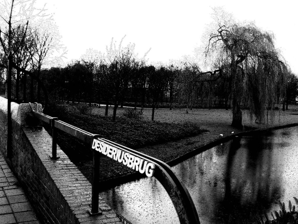 Desideriusbrug Erasmuspark Baarsjes by Jurian.