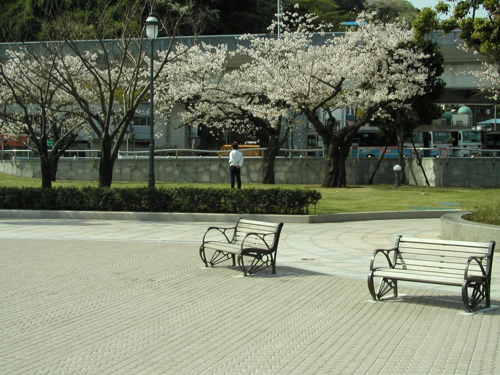 YOKOSUKA VERNY PARK:春 by 大瀧正人