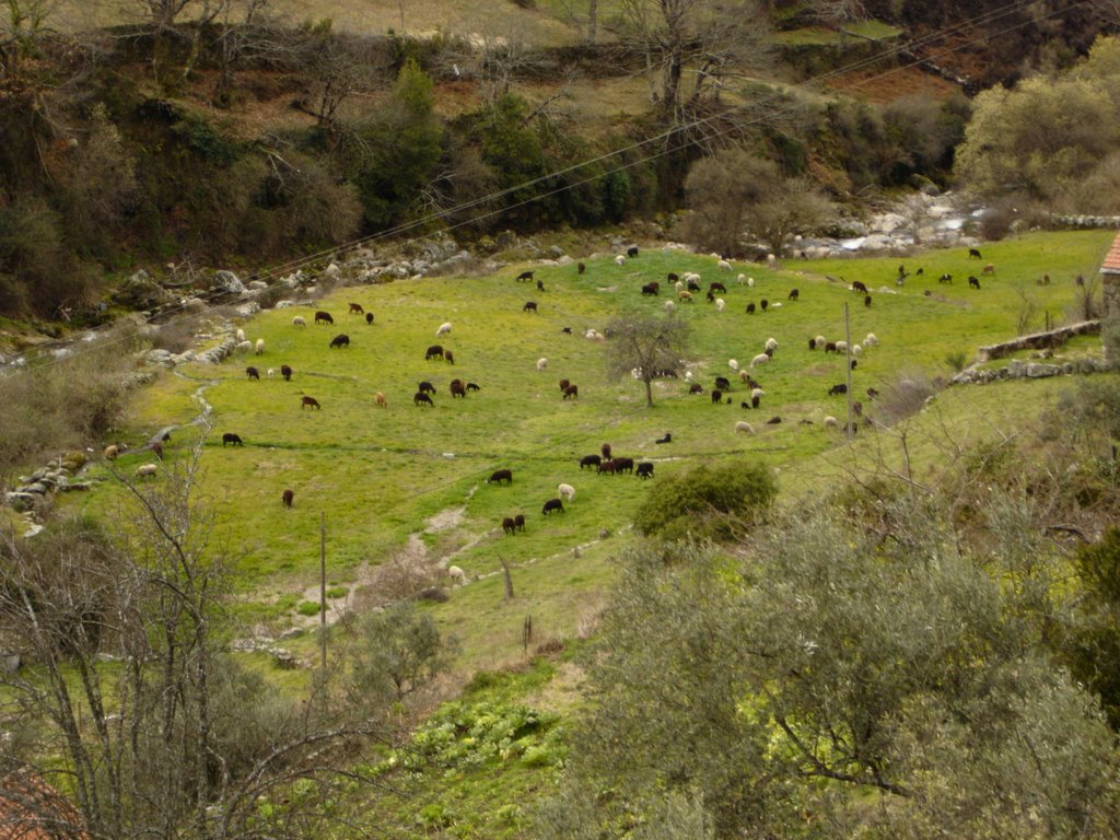 Campo que te estendes... by VICTORmgSANTOS