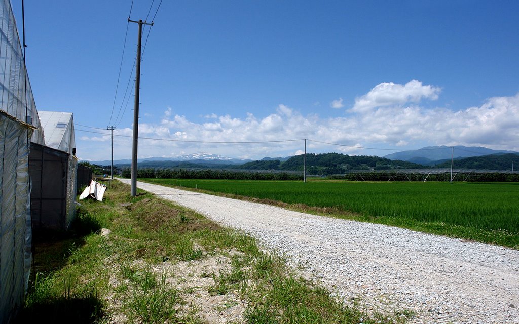 寒河江市八鍬 月山を望む農道 by ♞