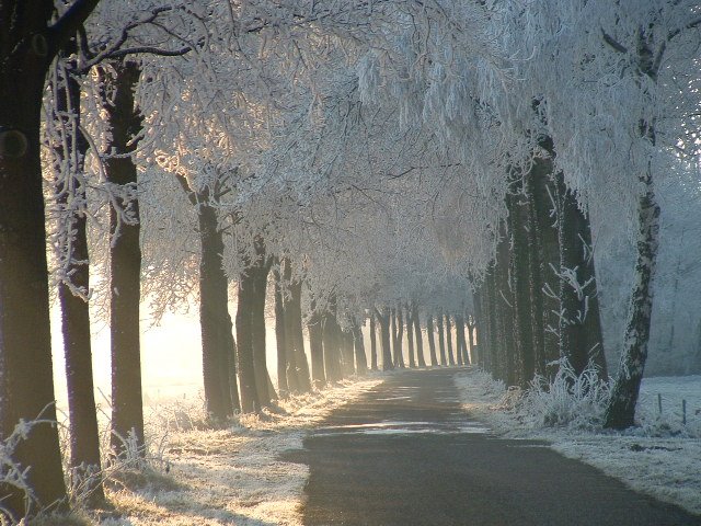 Snow @ Ketelkampweg by m@rtym@n