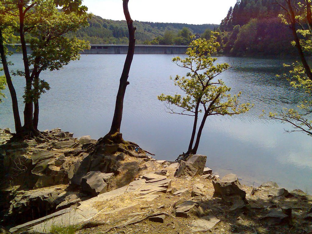 Halbinsel mit Blick auf die Sperrmauer by donpope