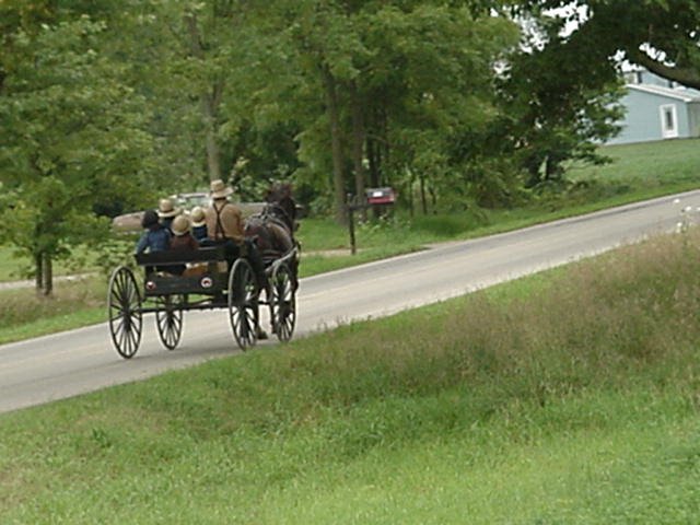 Amish carriage by Joe T Fletcher