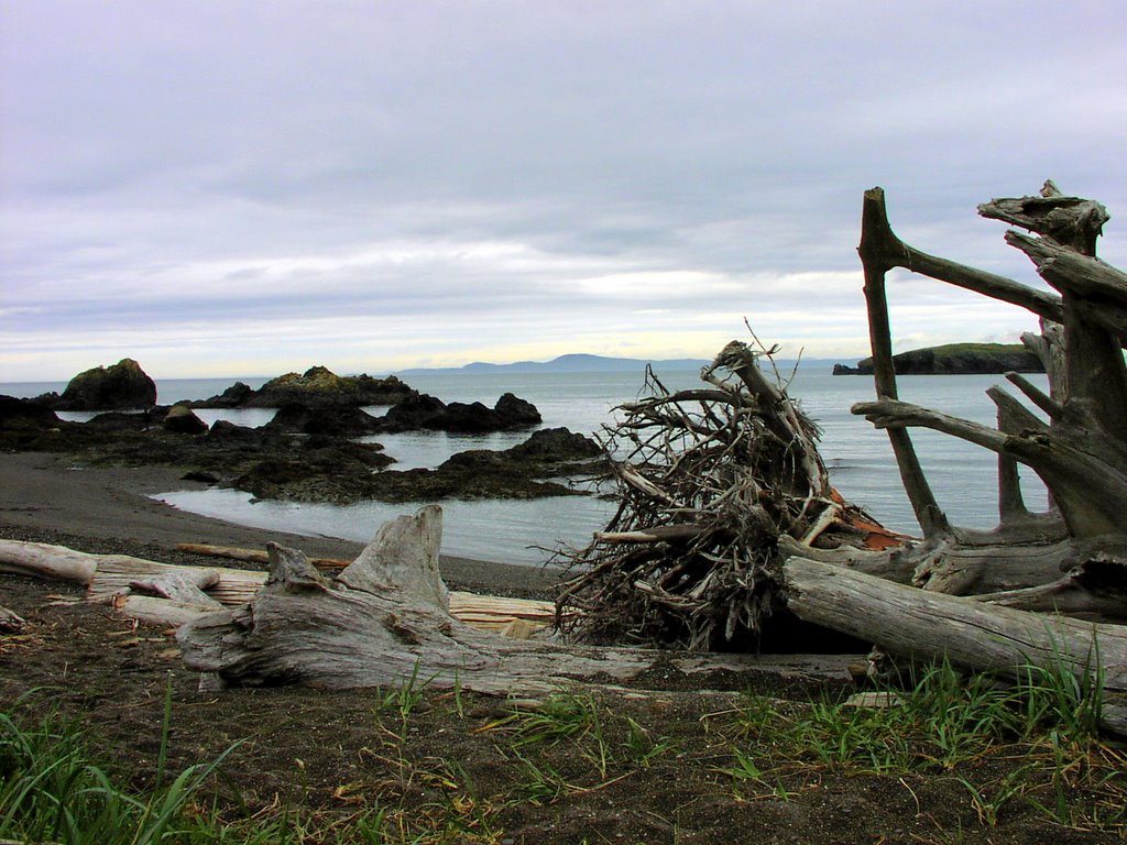 Driftwood and rocks by jakefunk