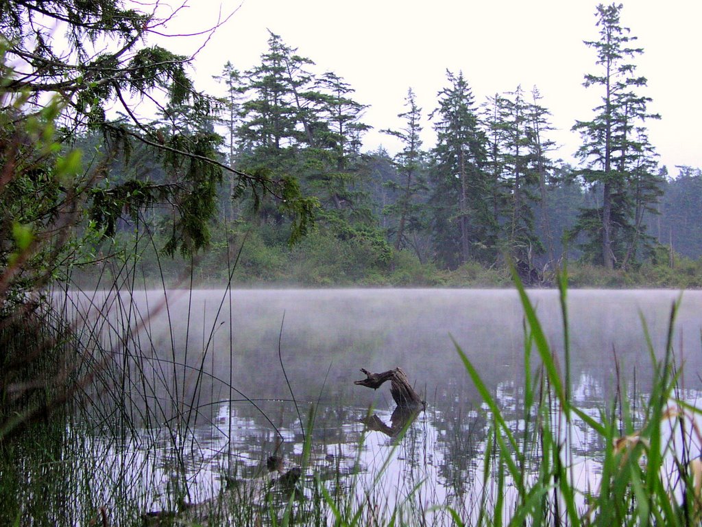 Fog over Cranberry Lake by jakefunk