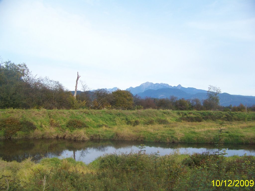 Pitt Addington Marsh Wildlife Area by Wester