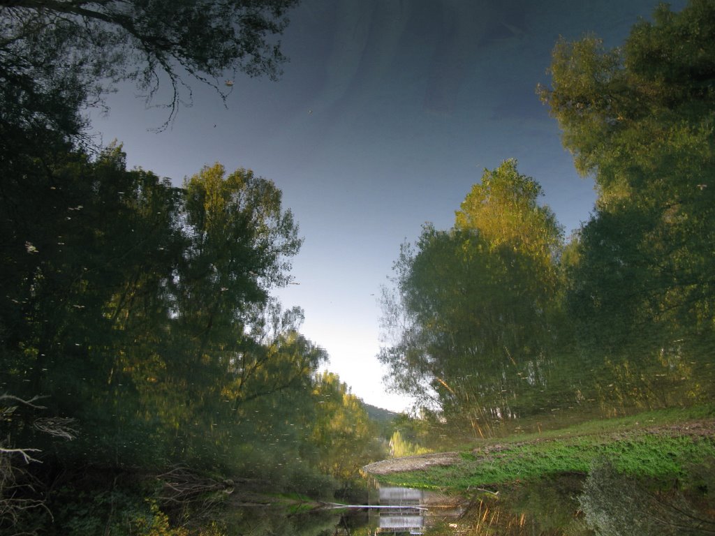 Reflet sur la Siagne by Dominique Perrin