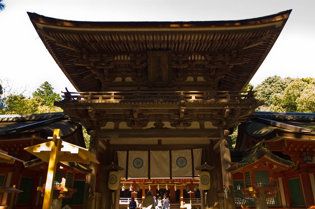 石上神宮 Isonokami shinto shrine by miyo0117