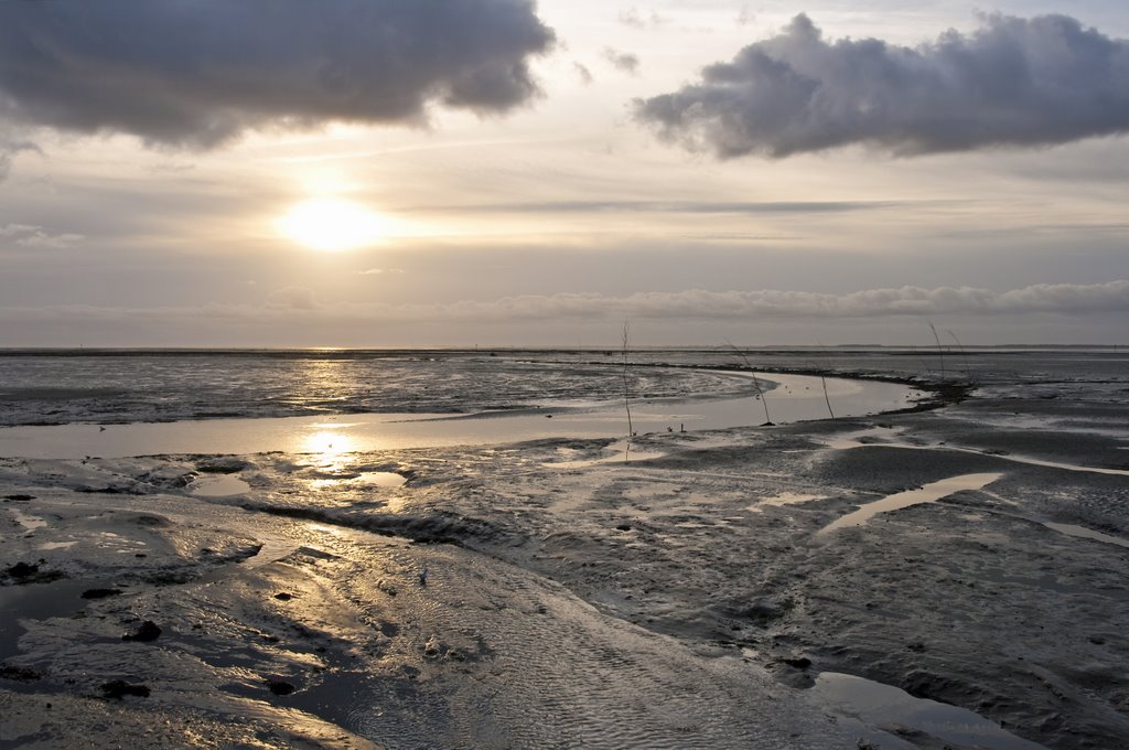 Schiermonnikoog: blik over het drooggevallen Wad by Bert Kaufmann