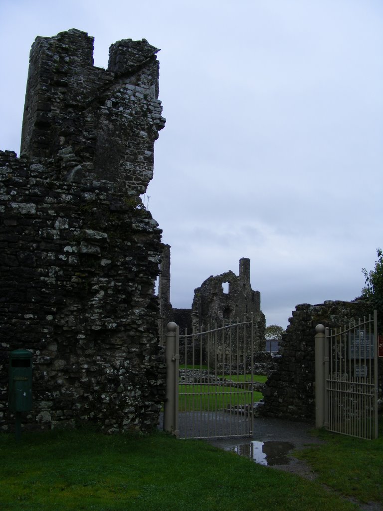 Coity Castle by Evagarth