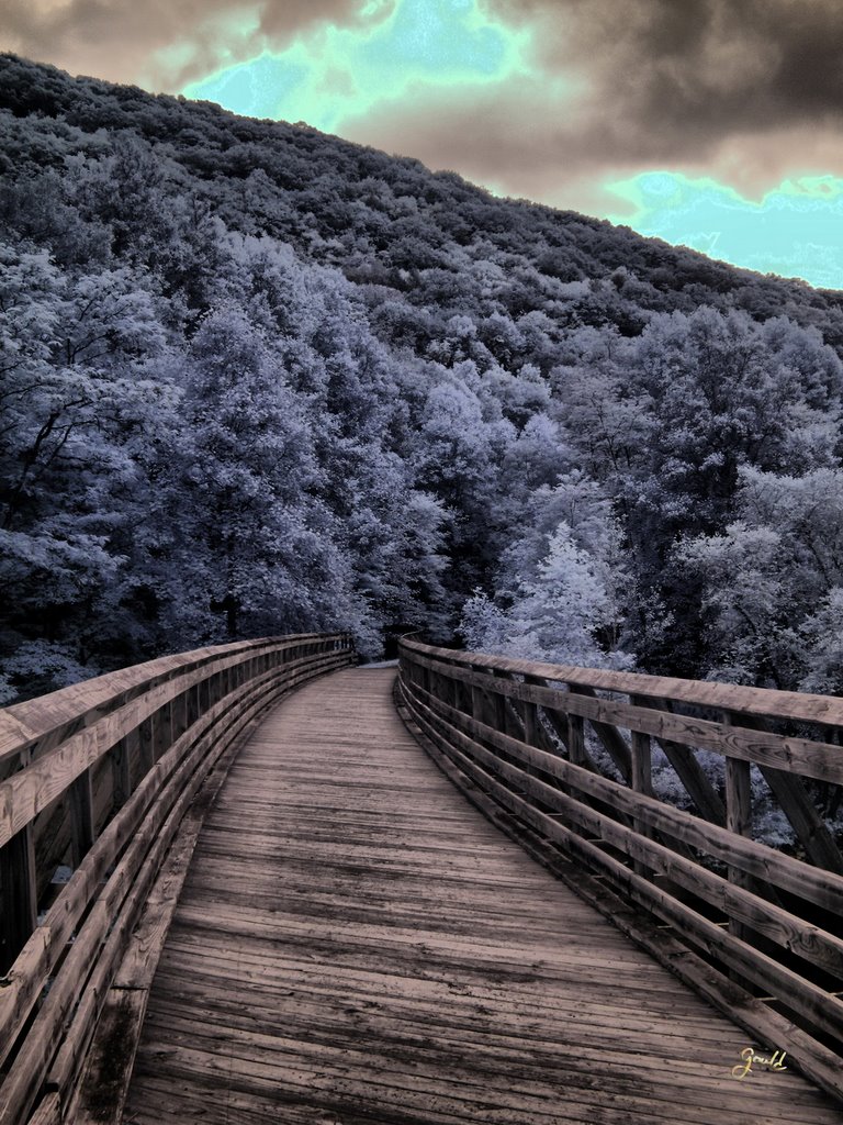 Greenbrier Trail After Tunnel 1 "In Infrared" by Mark Gould