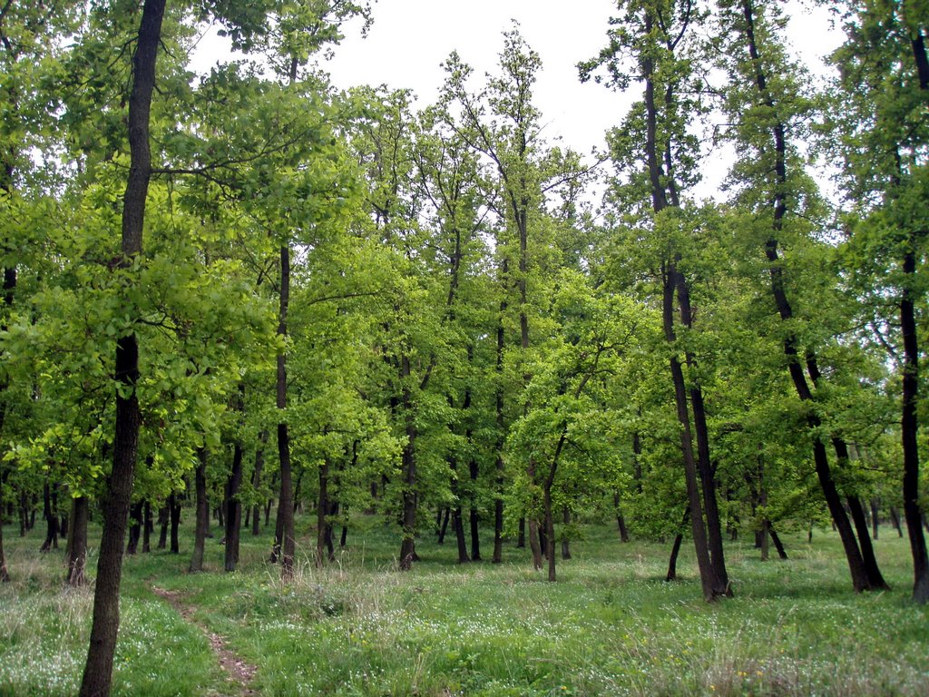 Želešice,nad Bobrem by emigrant