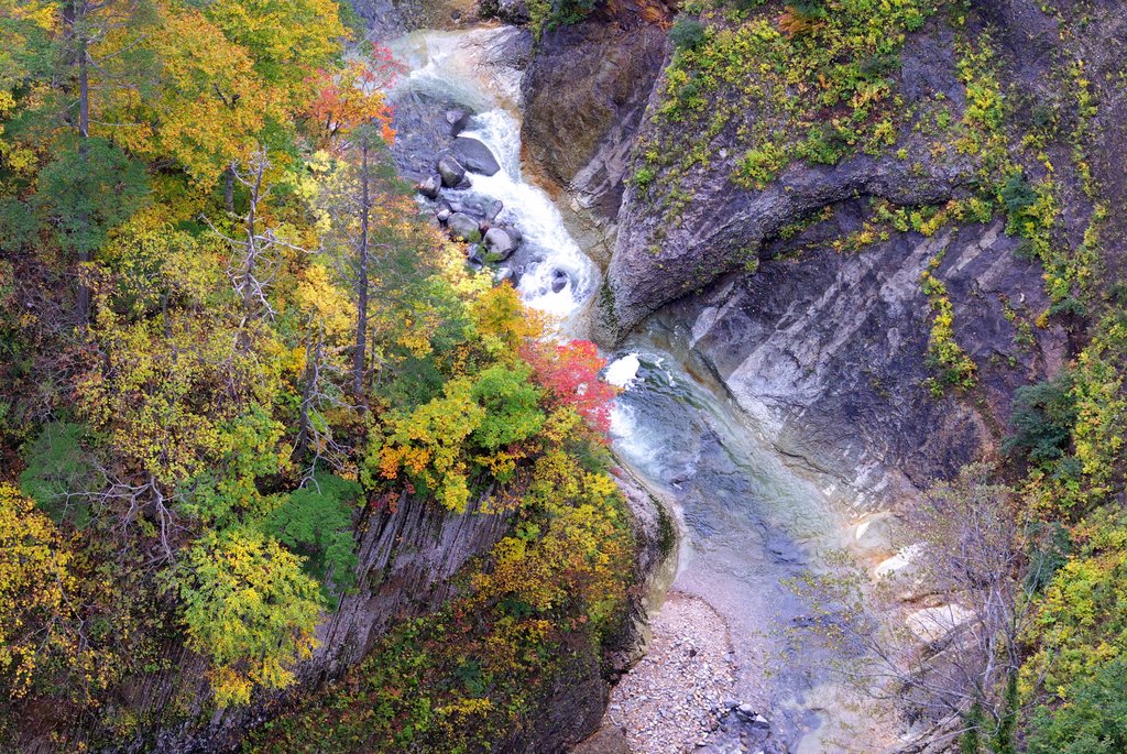 Scenery of autumn by Matsubayashi