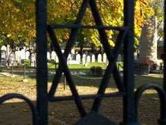 Tarnow, Jewish Cemetery by Tarnowskie Centrum I…