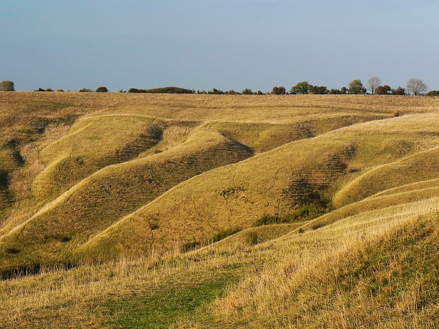 Western edge, Beacon Hill, near Heddington (N) by Brian B16