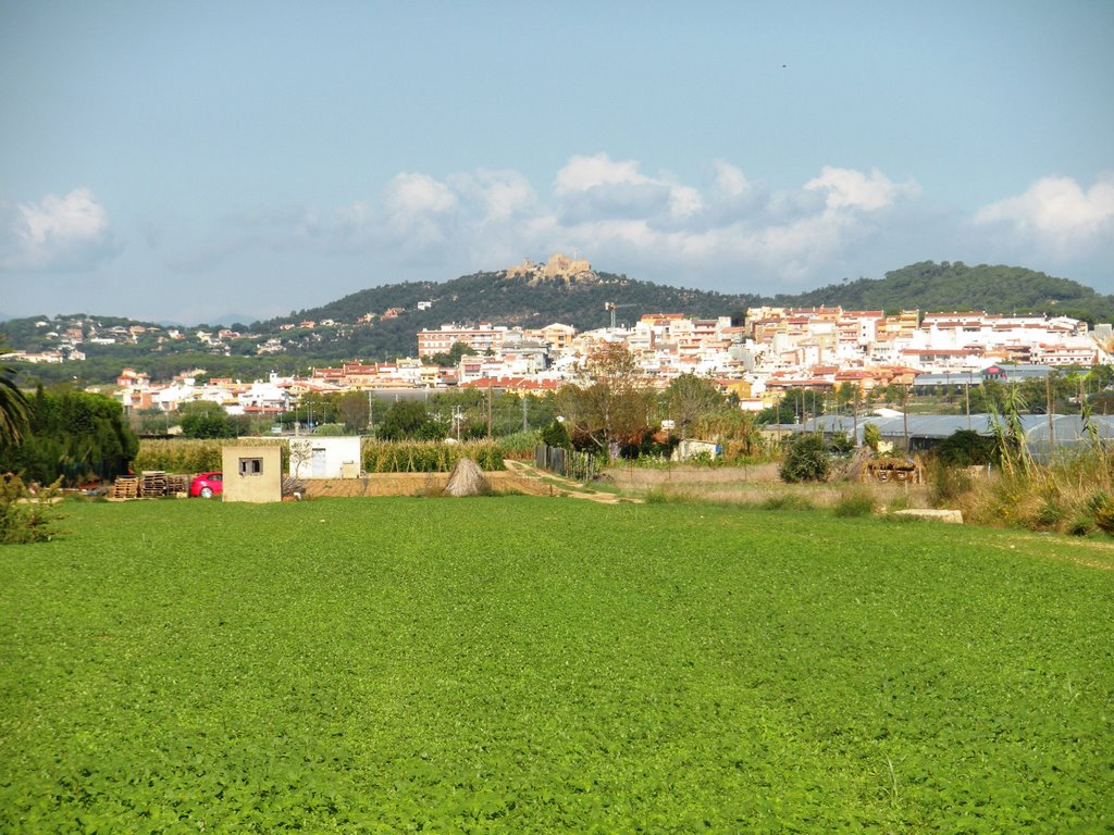 39.Malgrat de Mar, Castell de Palafolls al fons by joanloam