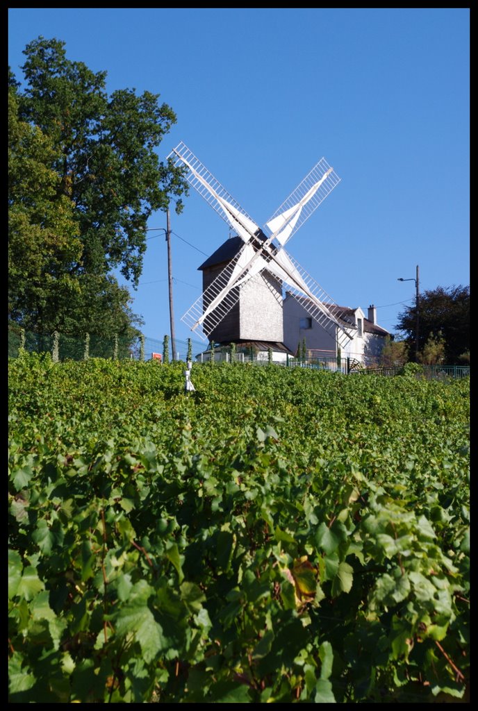 Moulin de Sannois by bester95