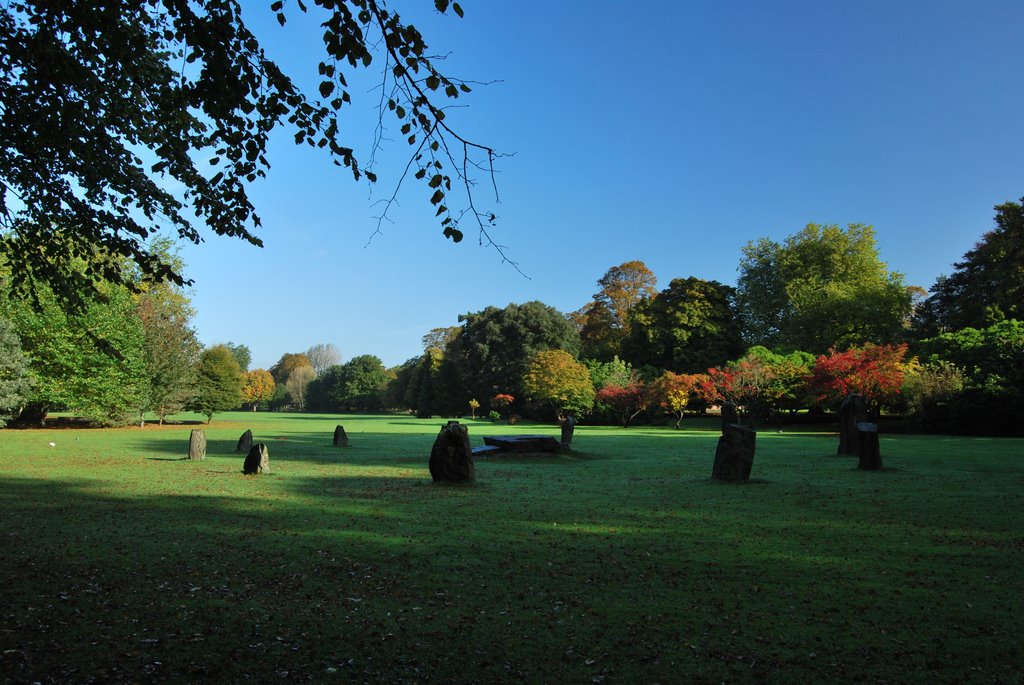 Cardiff, Bute Park 2 by Balocco