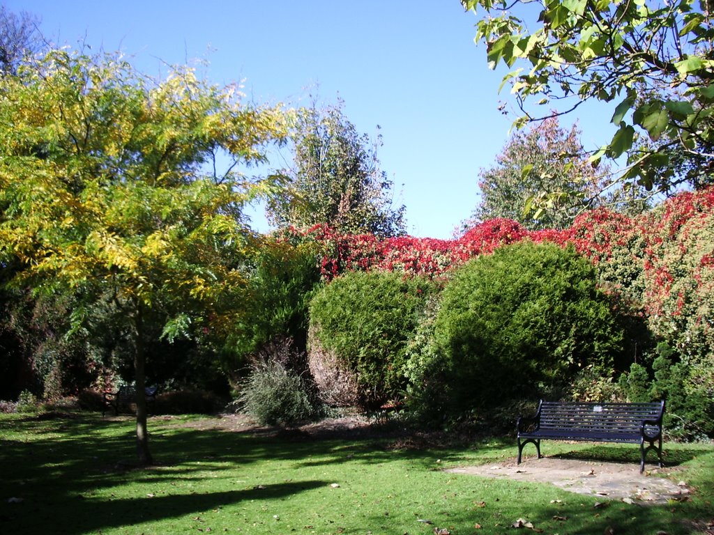 Hospital memorial garden by gordo1958