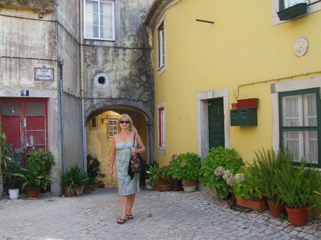 Sintra street by RickD